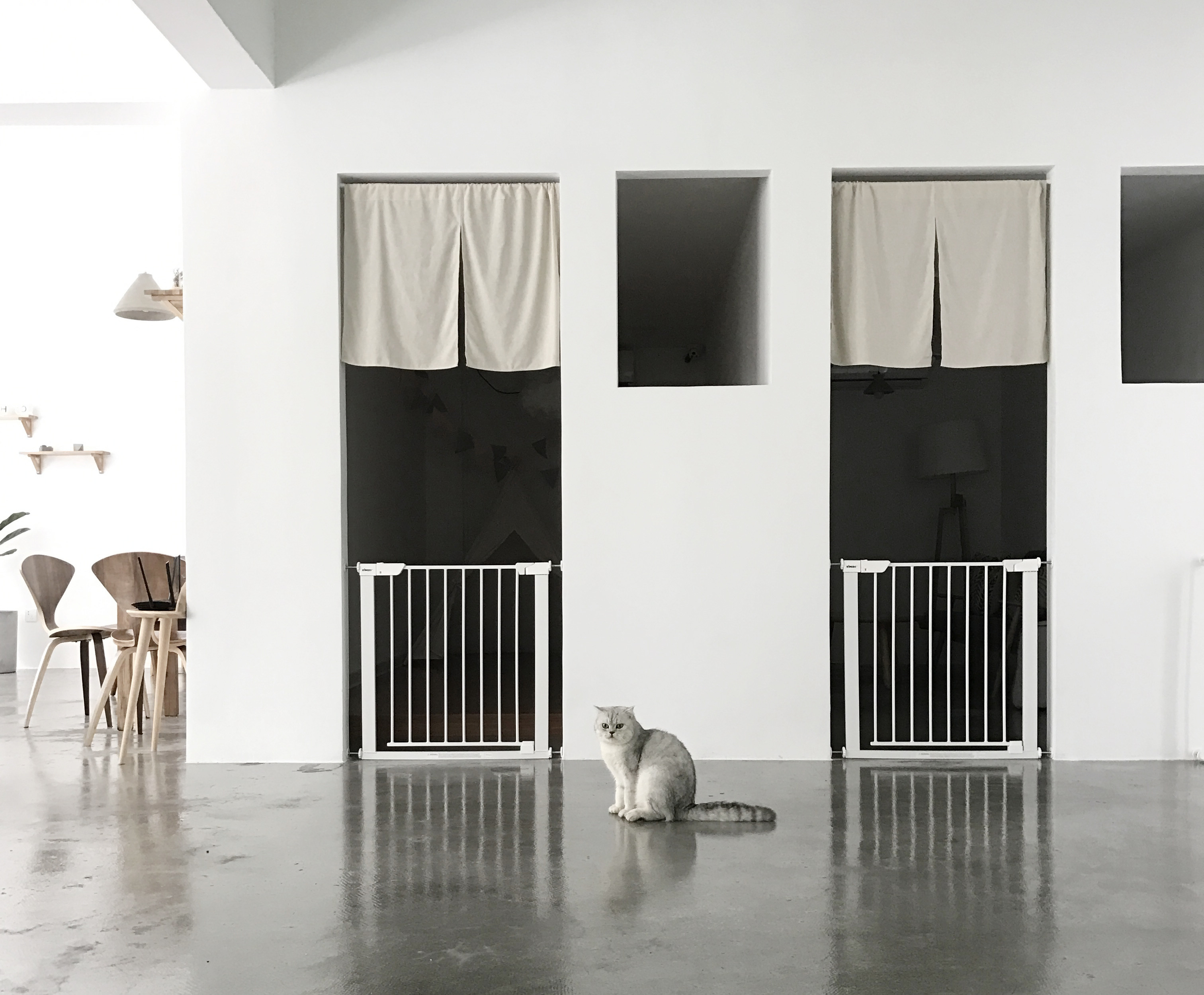 黃浦區簡約風格貓咖廳裝修設計-第2張圖片-上海古都建筑設計集團