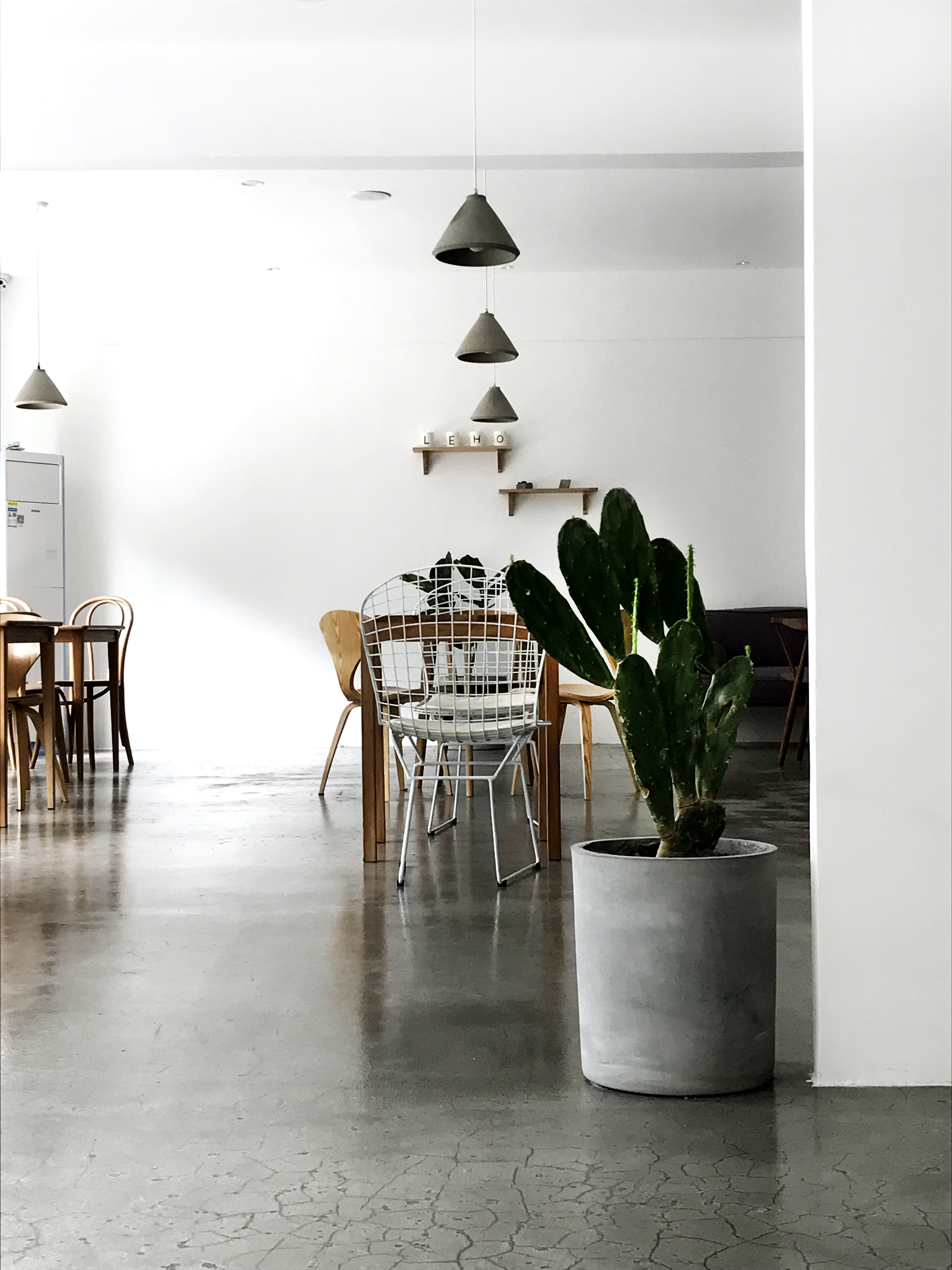 黃浦區簡約風格貓咖廳裝修設計-第3張圖片-上海古都建筑設計集團