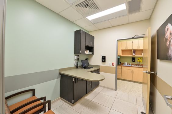 簡約寵物醫院裝修設計-第3張圖片-上海古都建筑設計集團