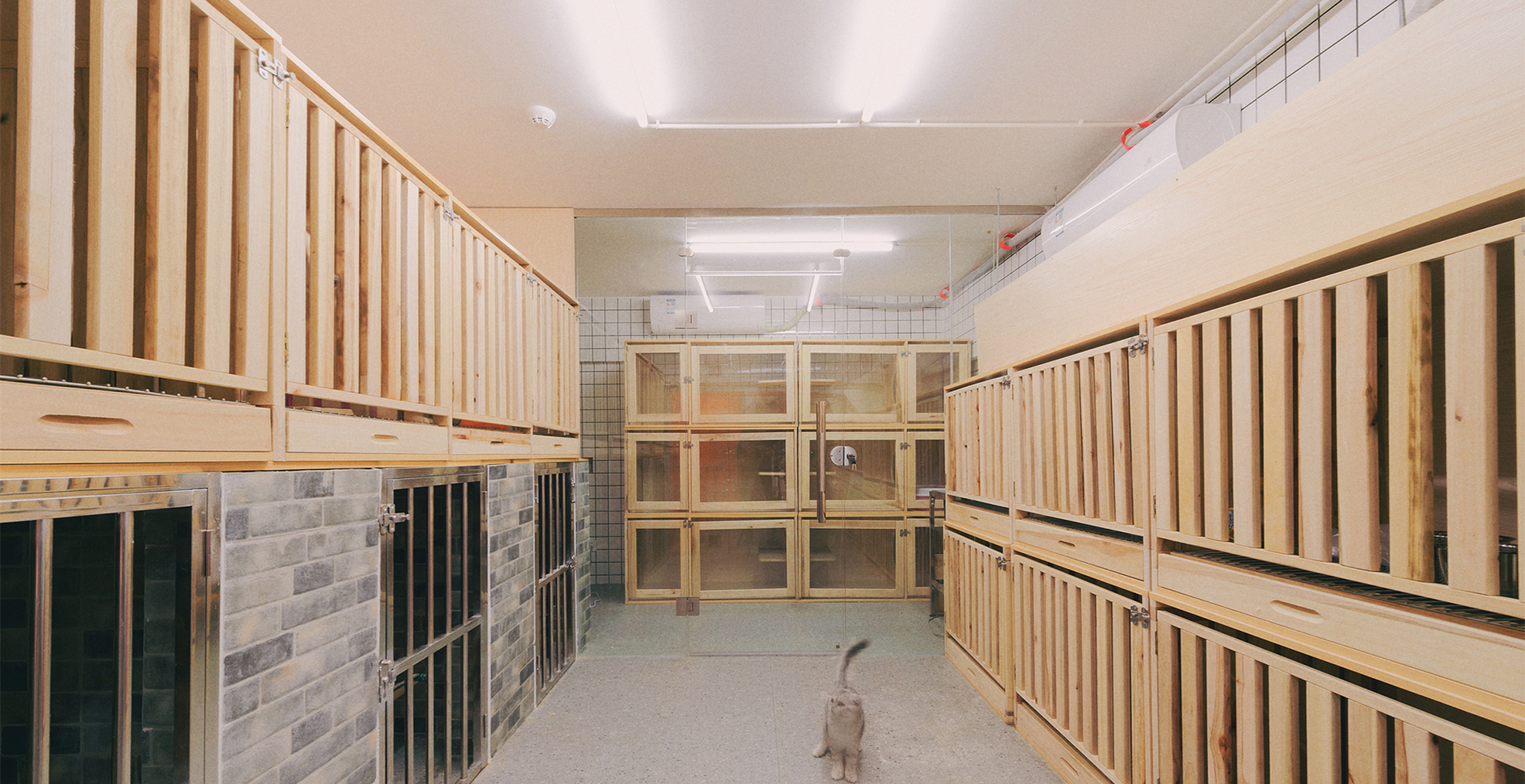 青浦區小清新寵物店裝修設計-第2張圖片-上海古都建筑設計集團