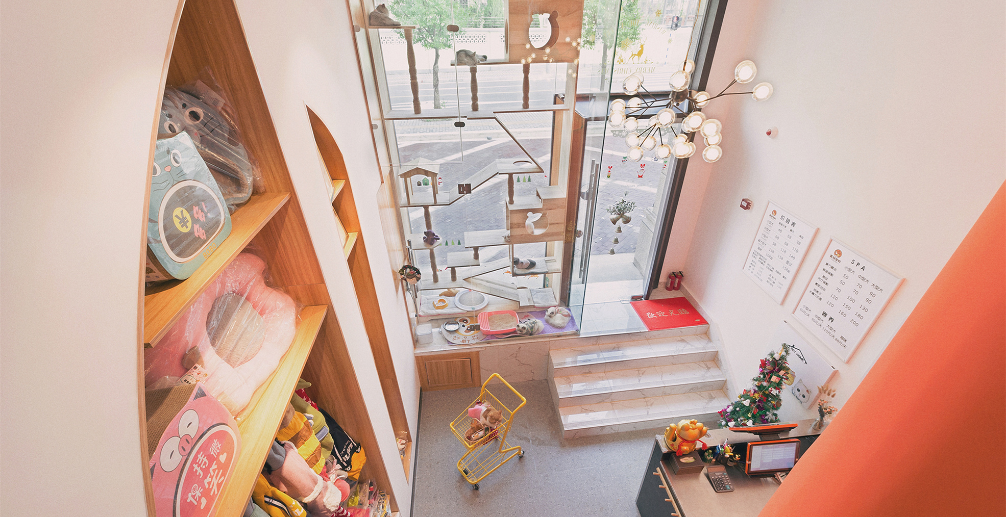 青浦區小清新寵物店裝修設計-第3張圖片-上海古都建筑設計集團