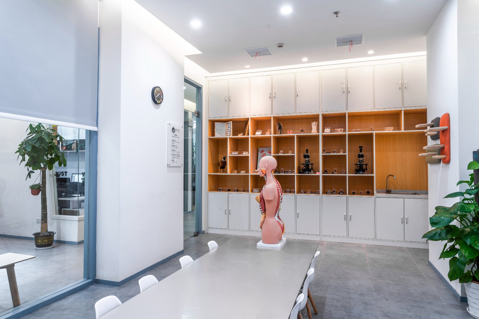 簡約英語教育機構(gòu)裝修設(shè)計-第5張圖片-上海古都建筑設(shè)計集團